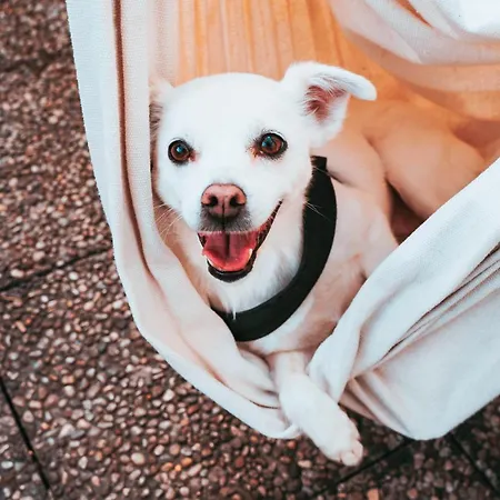 호텔 By 피날레리구레